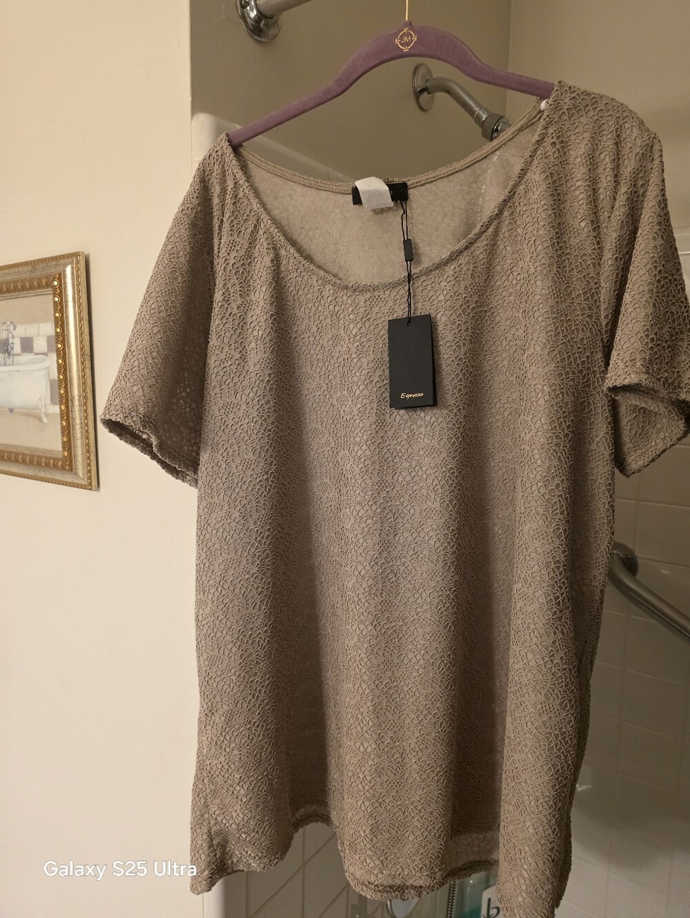 Evereve Taupe Textured Short Sleeve Tee